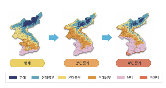 아열대로 변하는 우리나라